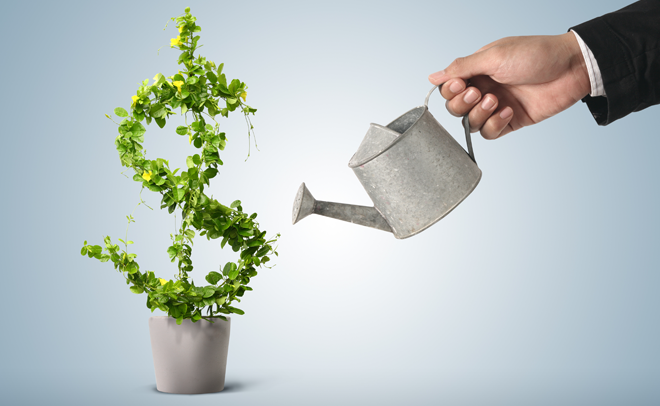 Mauritian Investment